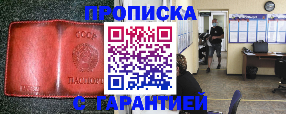 прописка гарантия в Моршанске